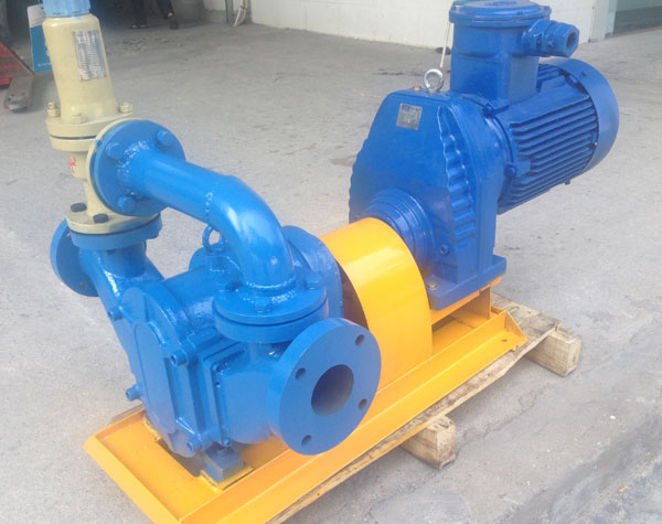 旋轉凸輪泵 旋轉凸輪泵